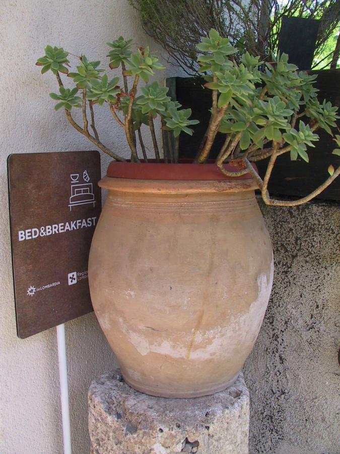 B&B Il Rustico Turate Kültér fotó